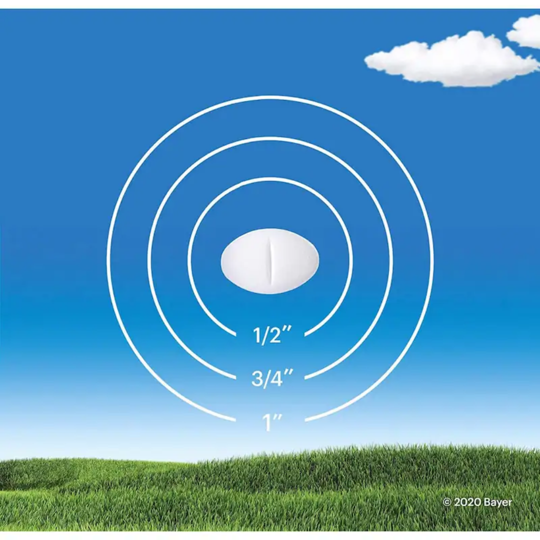 Claritin Allergy Relief Tablets - 10mg