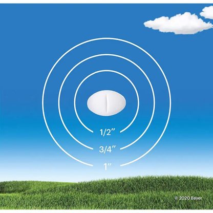 Claritin Allergy Relief Tablets - 10mg