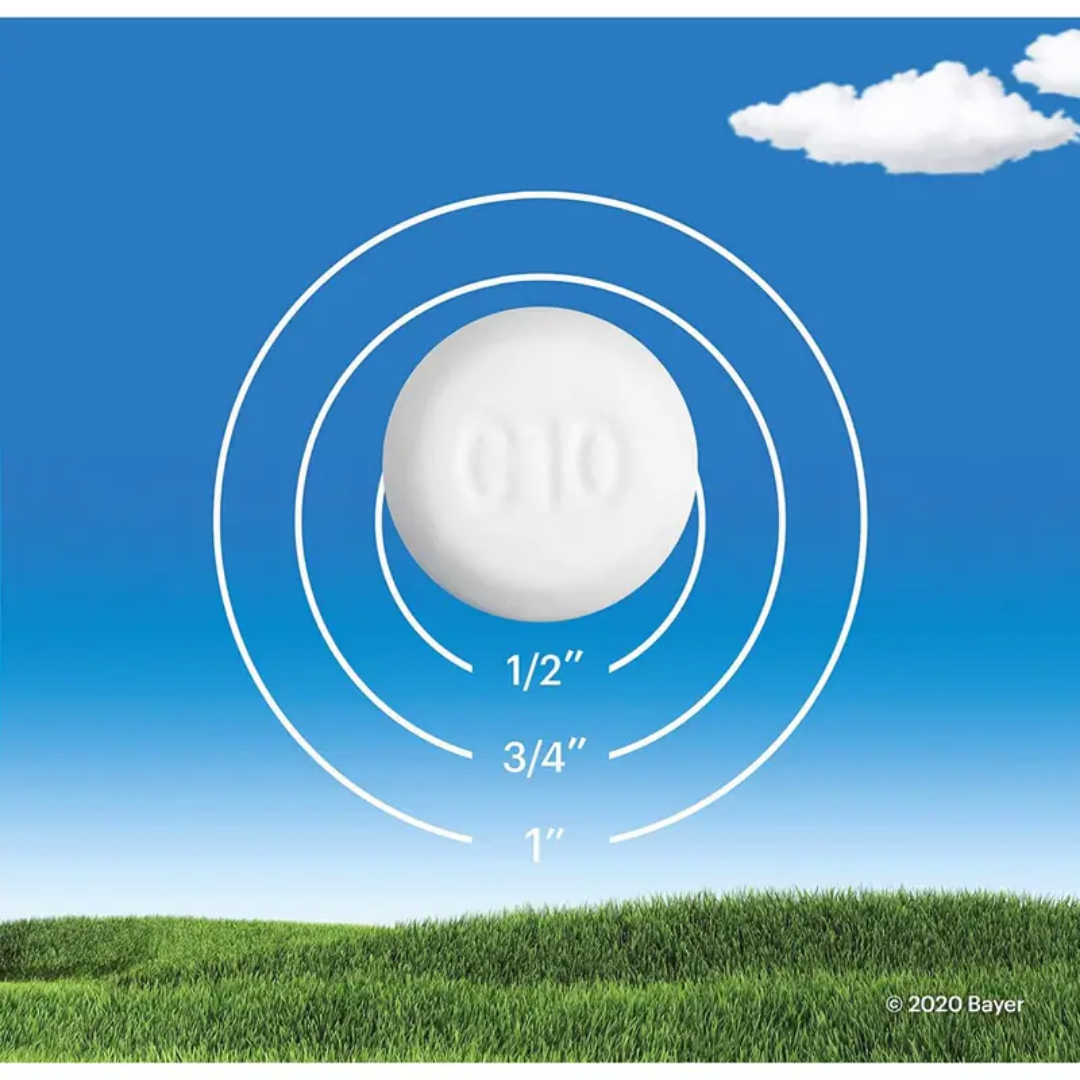 Claritin Rapid Dissolve Tablets - 10mg